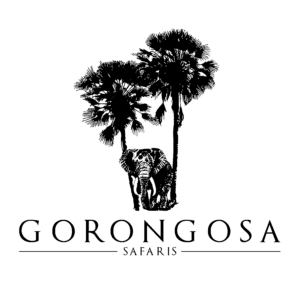 gorongosa national park safari